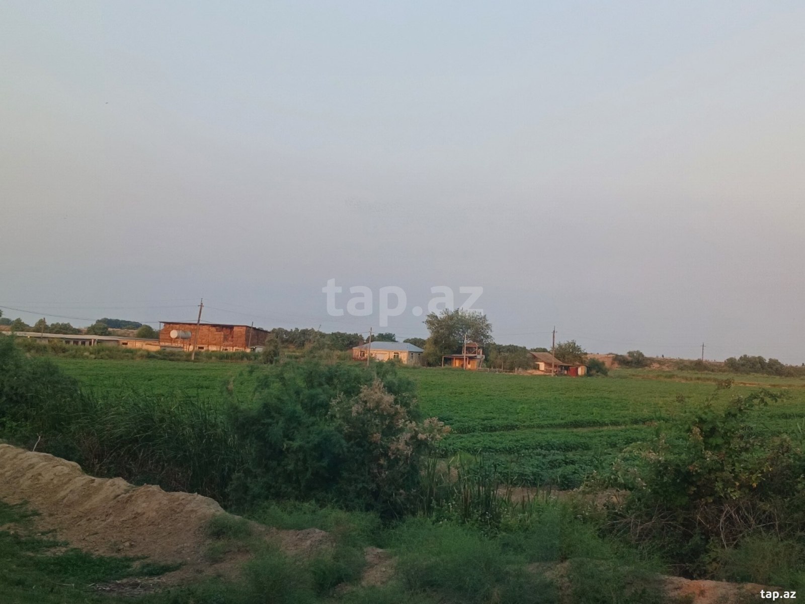 6500 sot torpaq sahəsi, Sabirabad r.