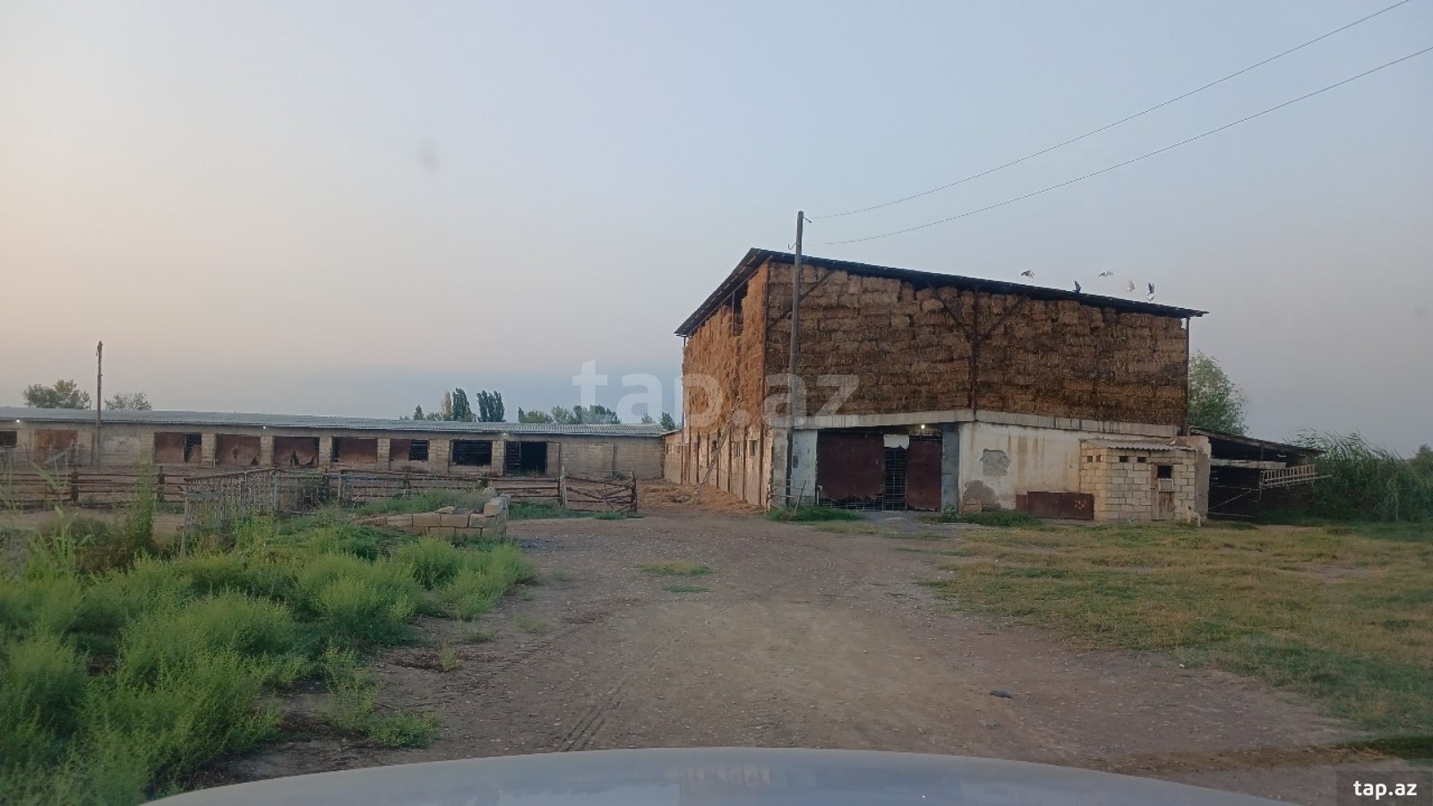 6500 sot torpaq sahəsi, Sabirabad r.