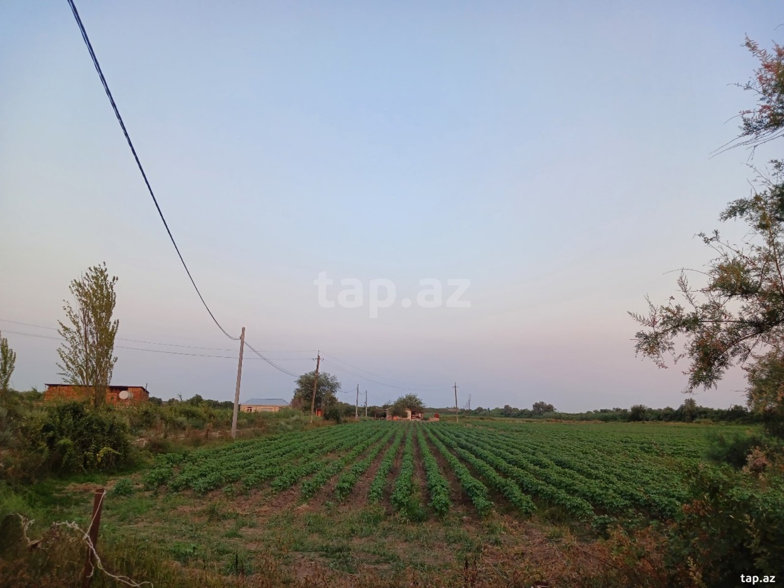 6500 sot torpaq sahəsi, Sabirabad r.
