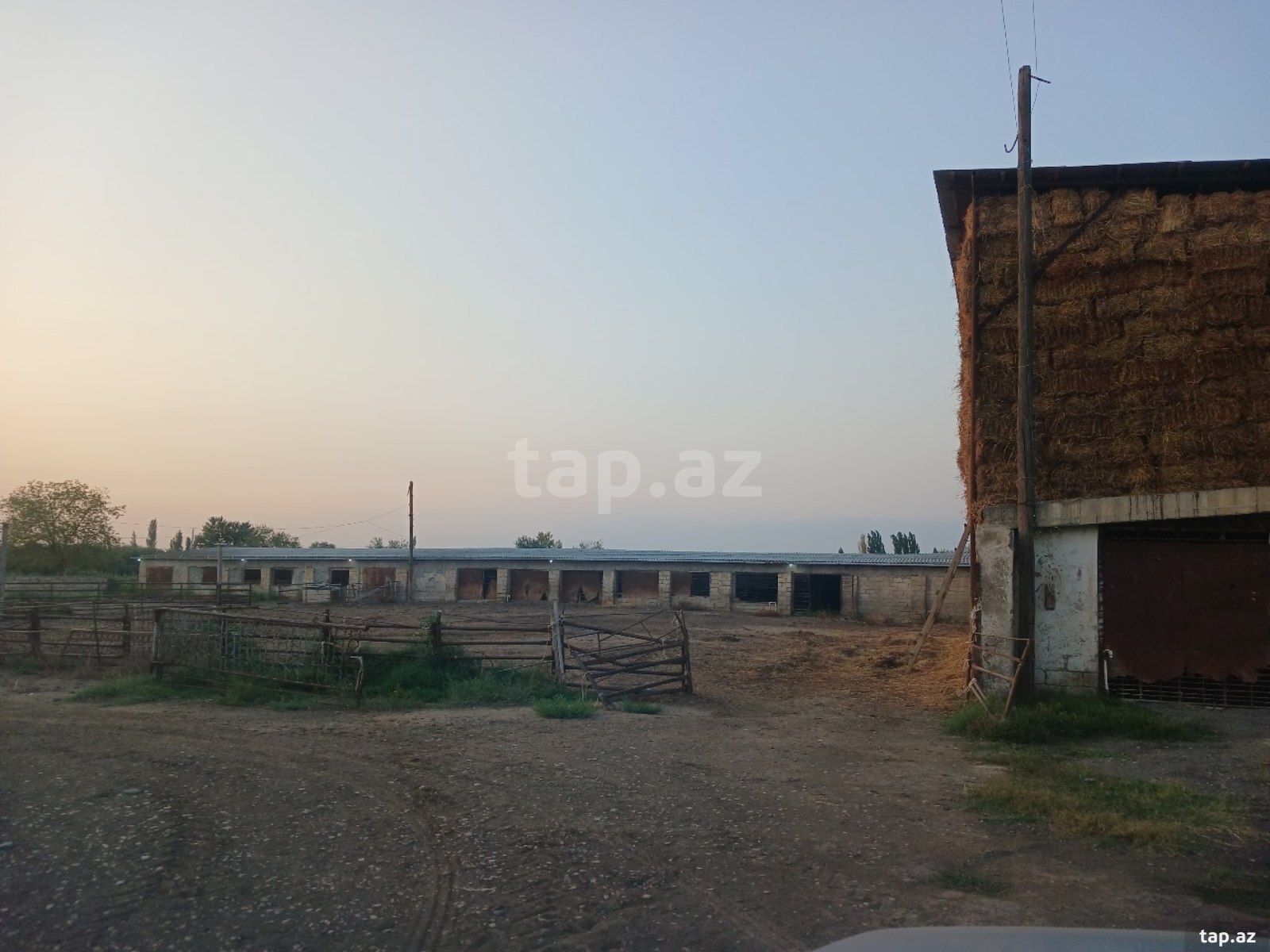 6500 sot torpaq sahəsi, Sabirabad r.