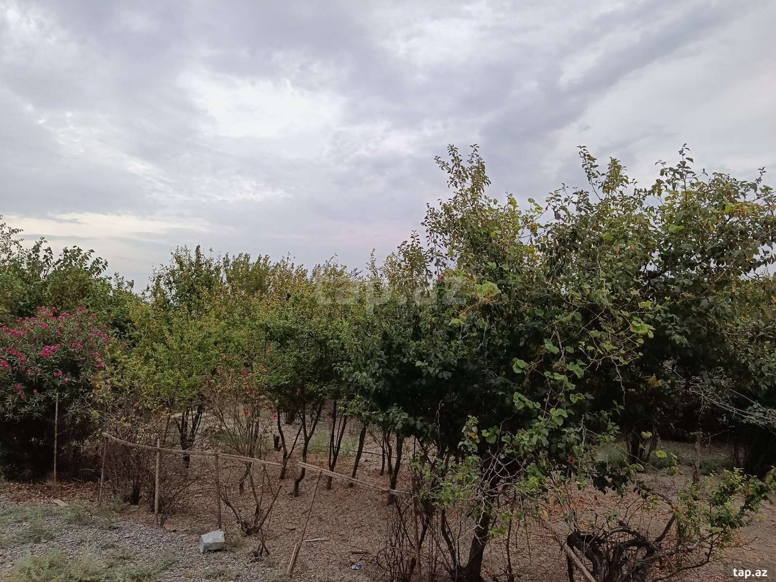 Həyət evi, Biləsuvar r.