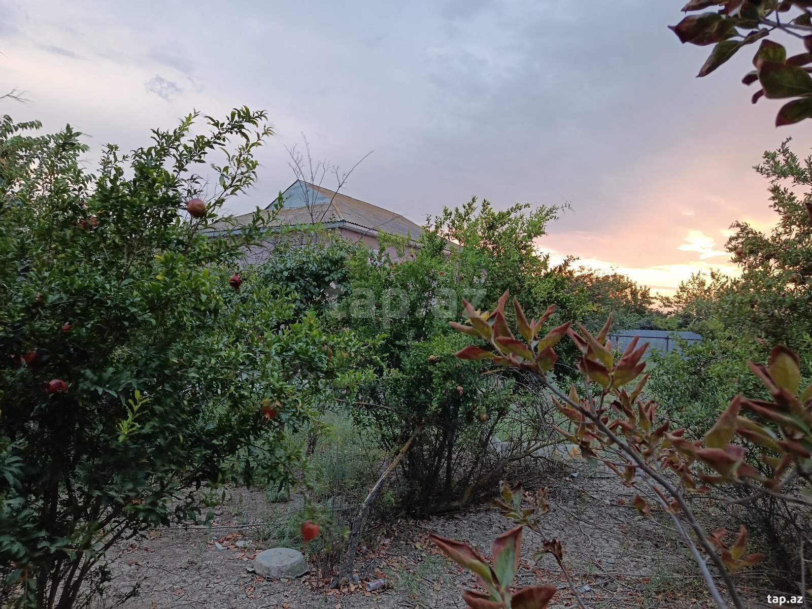 Həyət evi, Biləsuvar r.