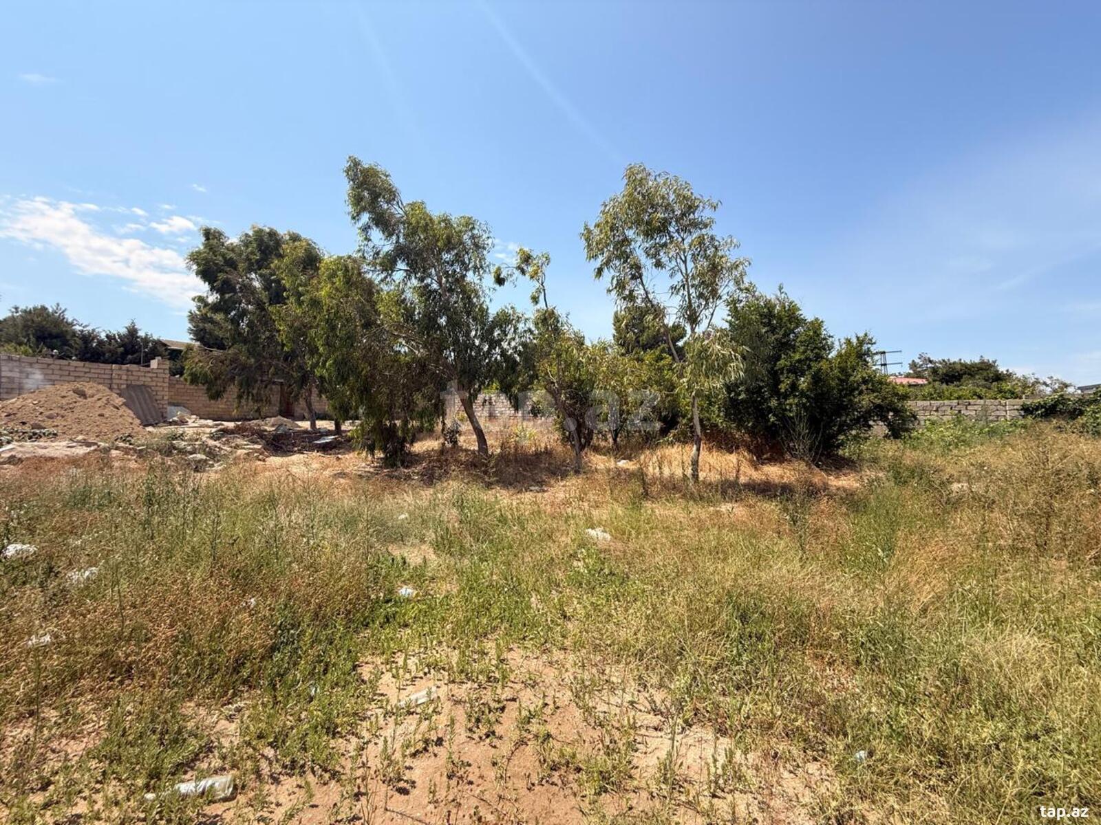 Torpaq satılır, Bakı