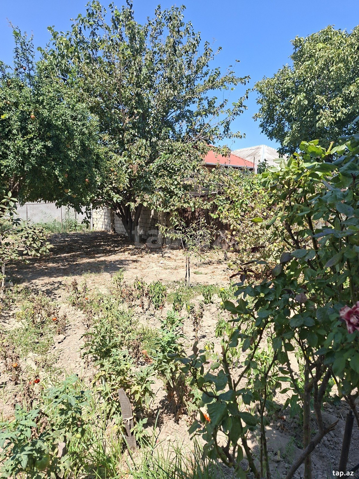 Bağ evi, Sumqayıt ş.