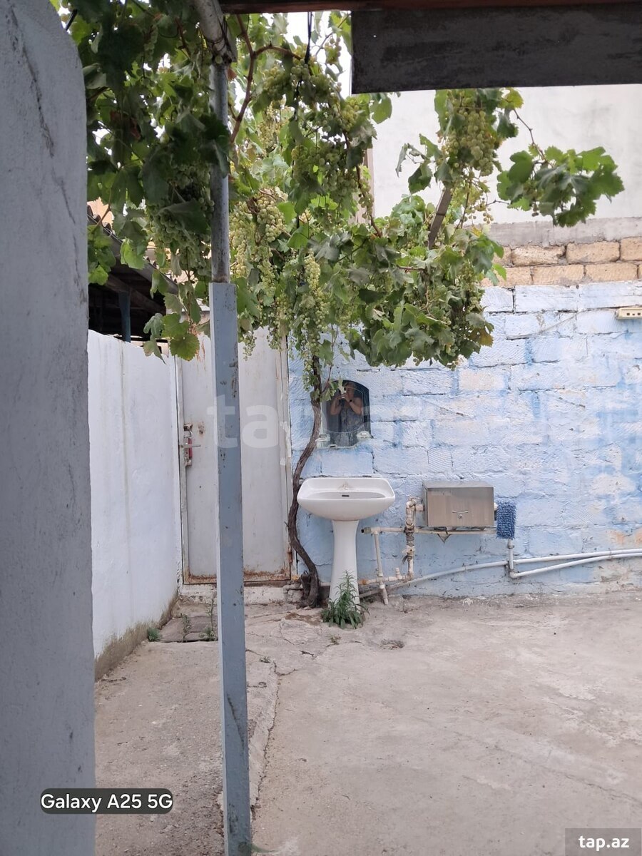 Həyət evi, Azadlıq m.