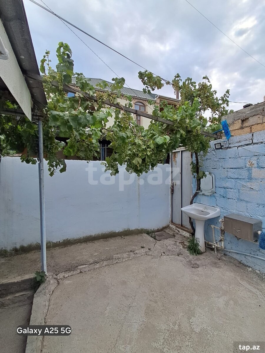 Həyət evi, Azadlıq m.