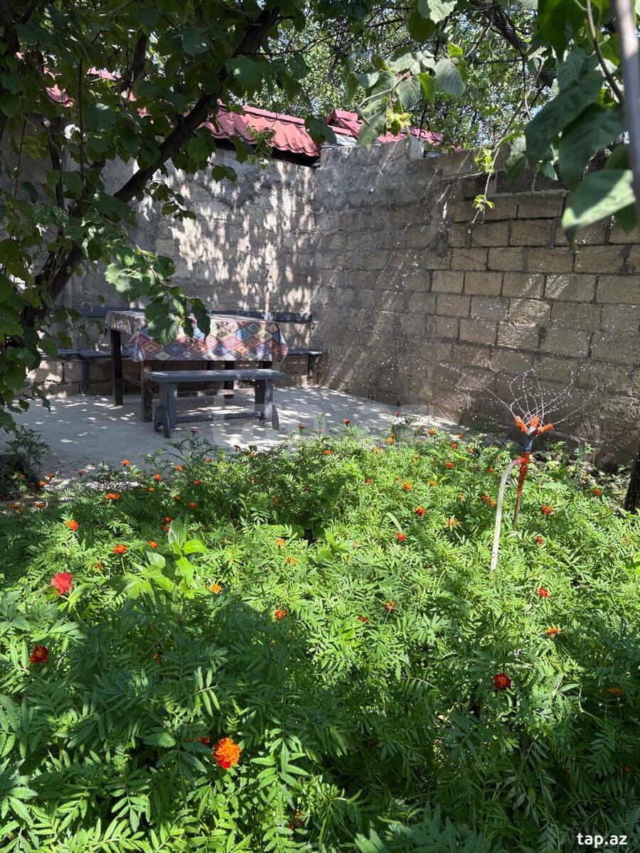 2-otaqlı yeni tikili kirayə verilir, Quba r., 50 m²