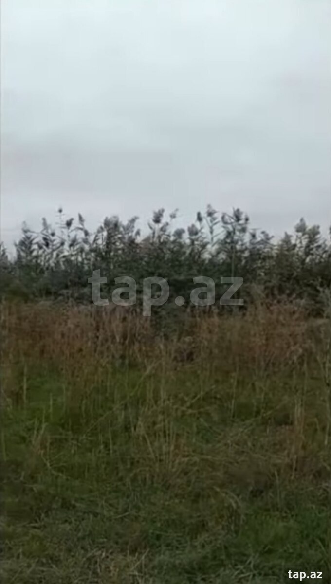 400 sot torpaq sahəsi, Kürdəmir r.