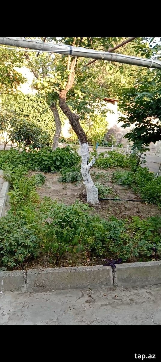 Həyət evi, Bülbülə qəs.