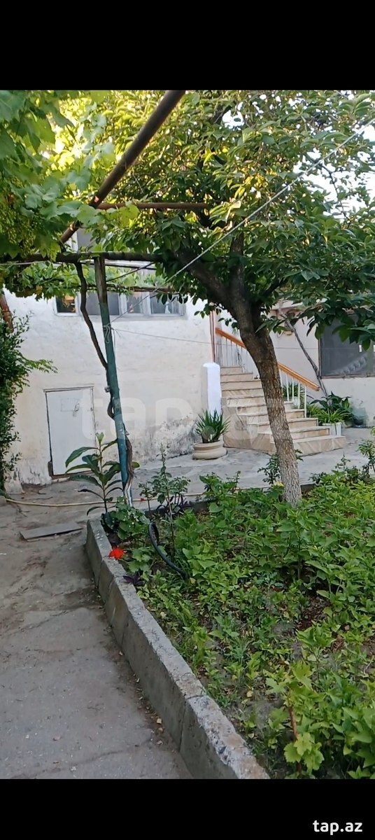 Həyət evi, Bülbülə qəs.