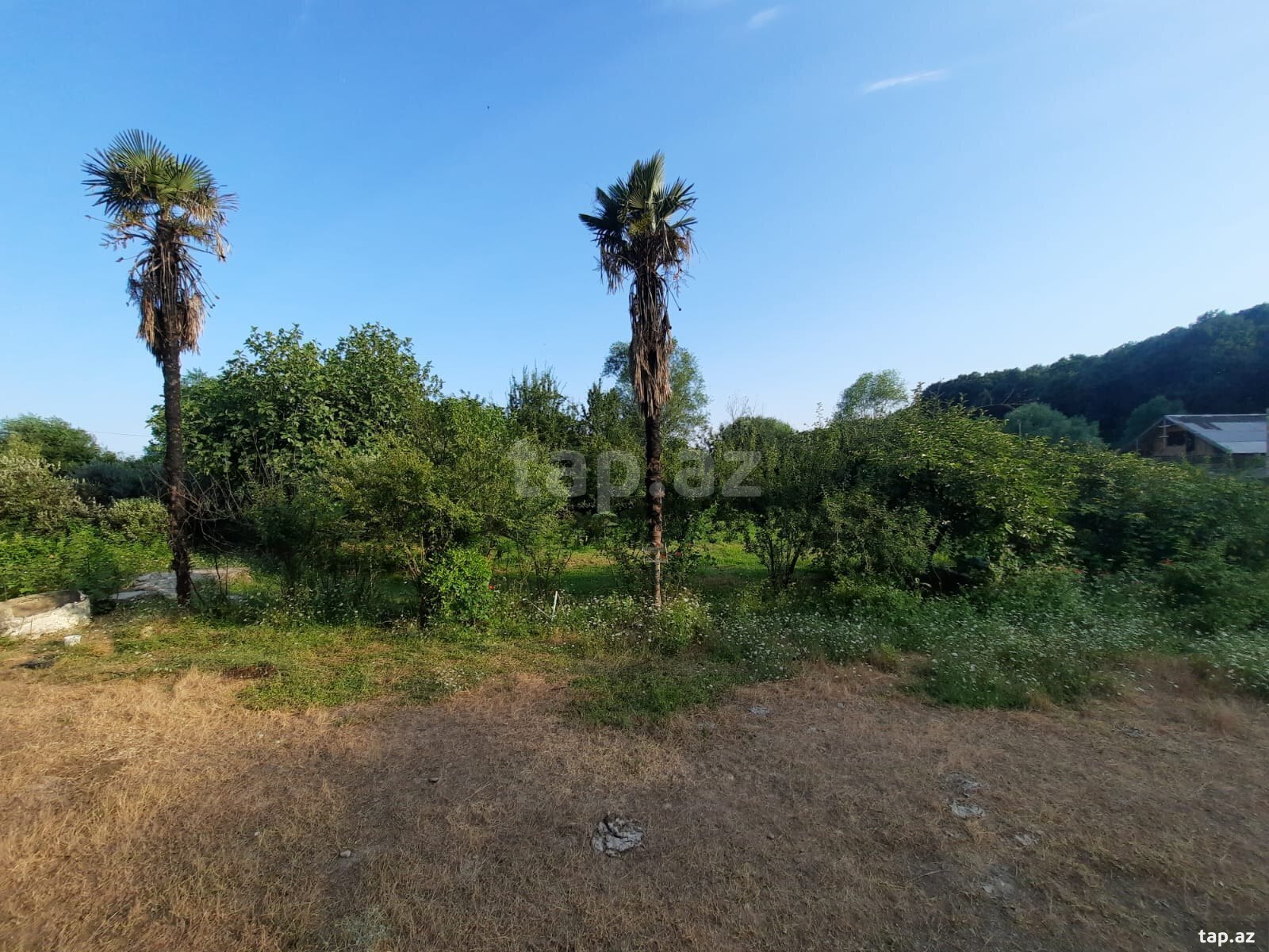 Villa, Astara r.