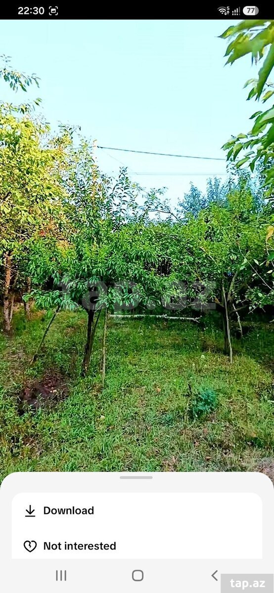 15 sot torpaq sahəsi, İmişli r.