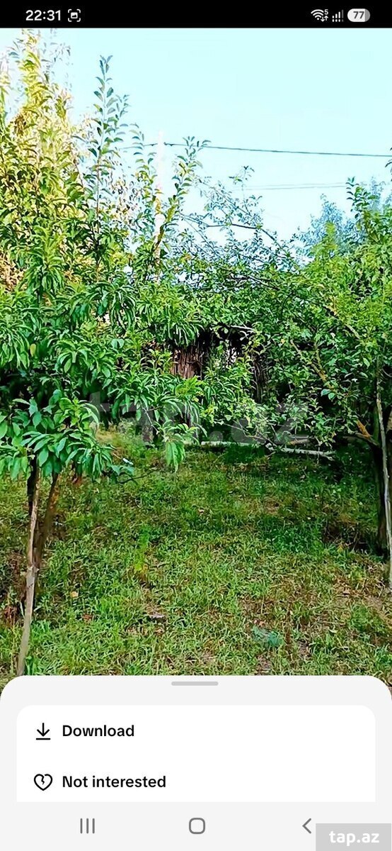 15 sot torpaq sahəsi, İmişli r.