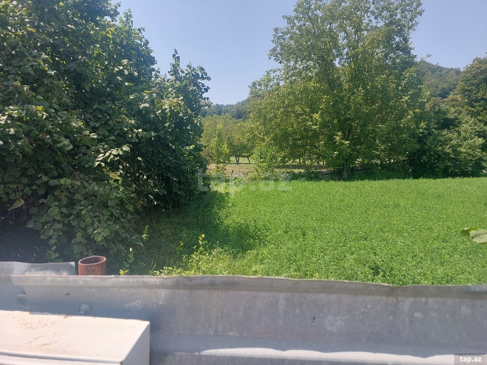 Land for sale, Ismayilli, Ismayilli