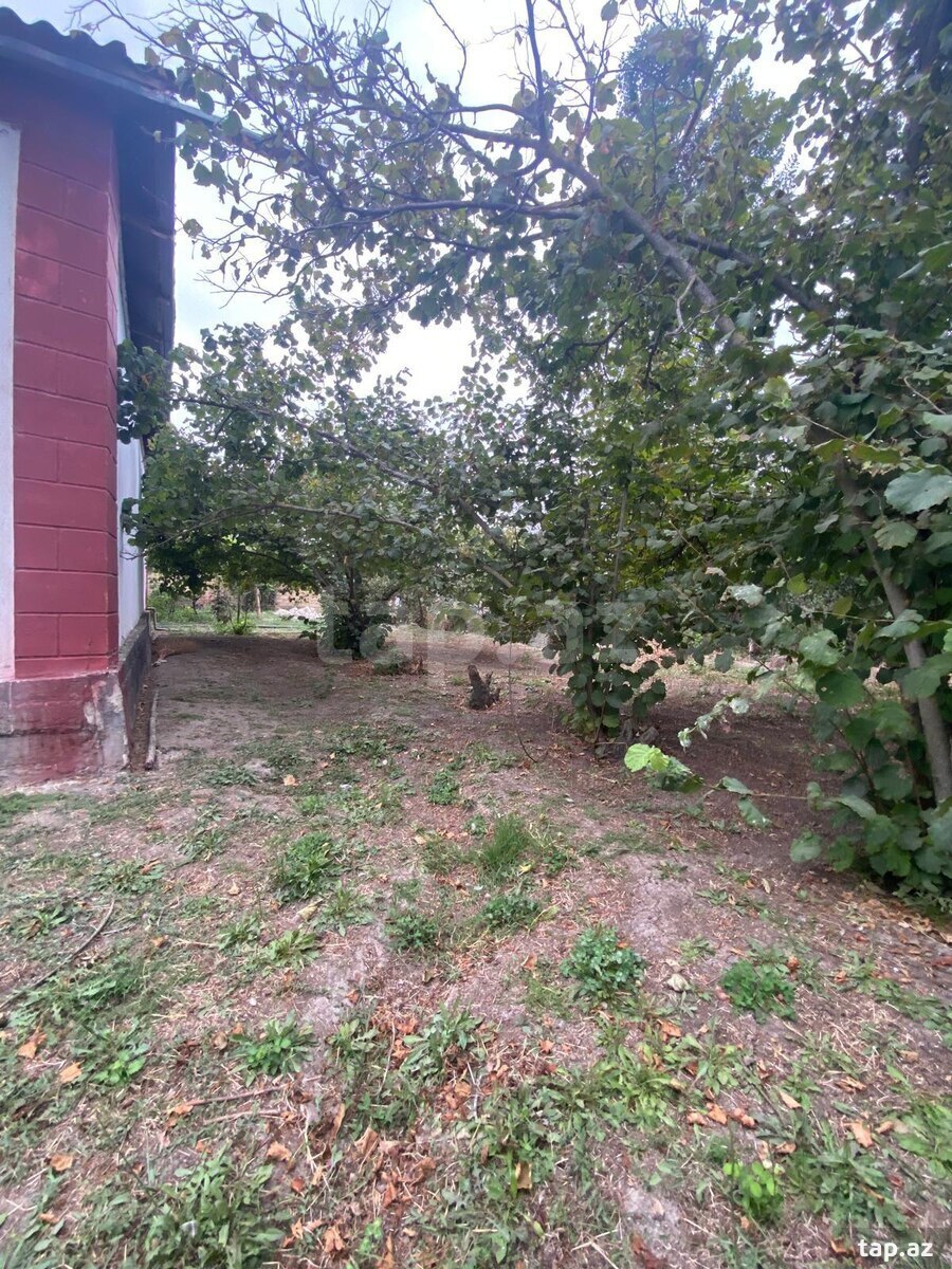 Həyət evi, Qarabağlı k.
