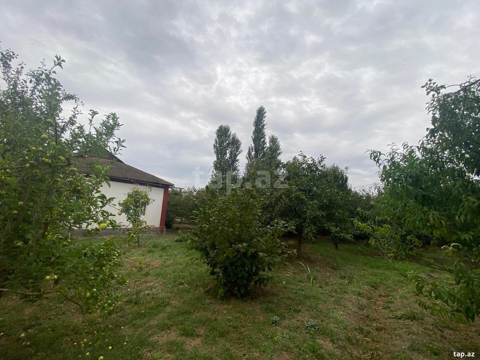 Həyət evi, Qarabağlı k.