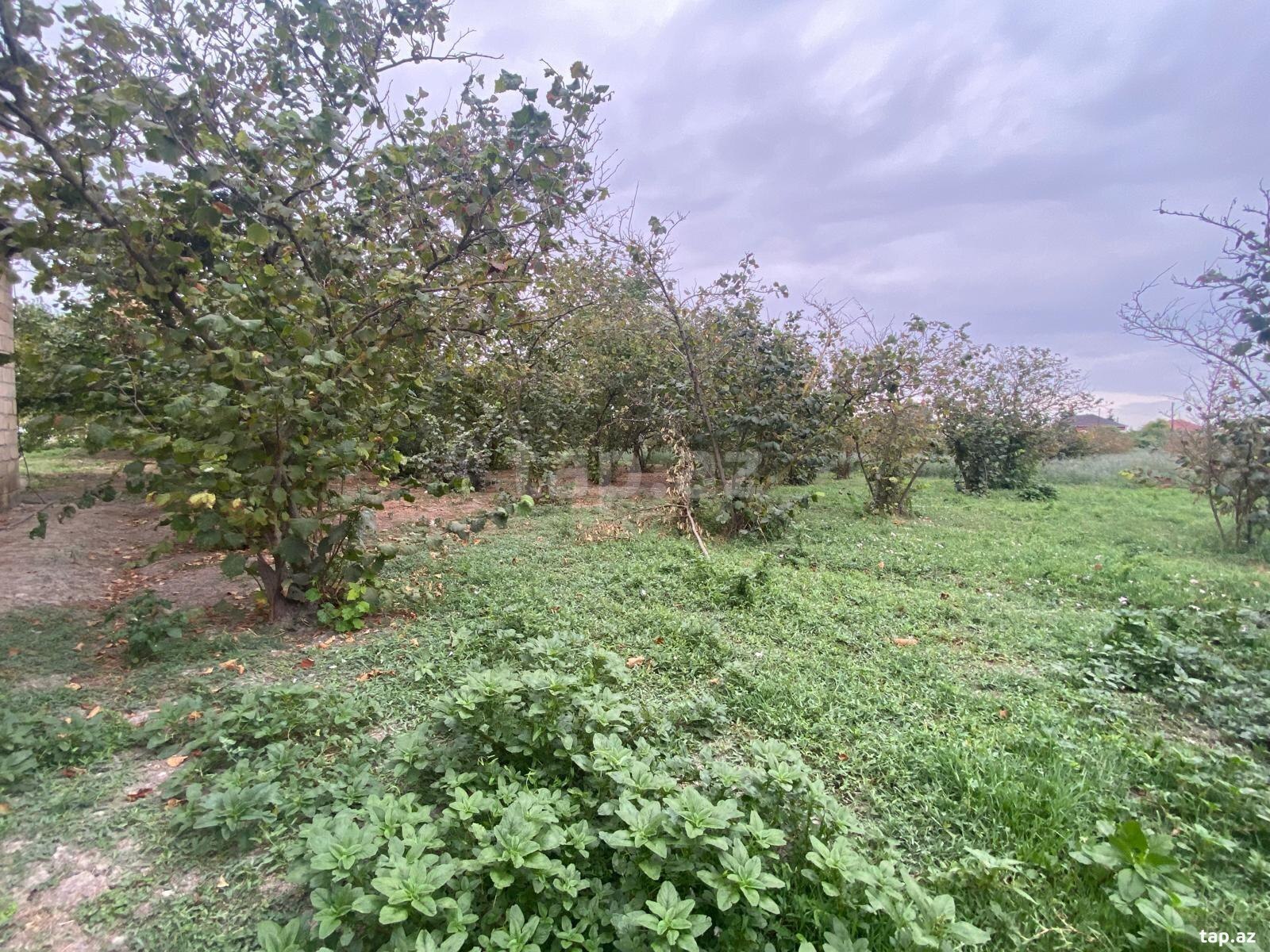 Həyət evi, Qarabağlı k.