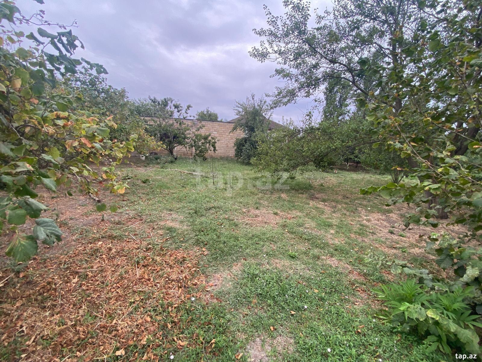 Həyət evi, Qarabağlı k.