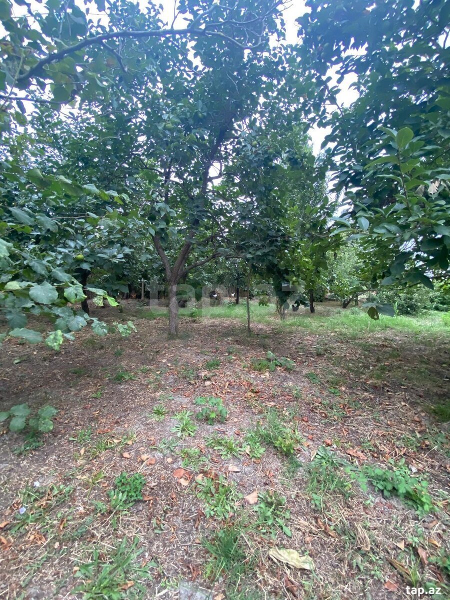 Həyət evi, Qarabağlı k.