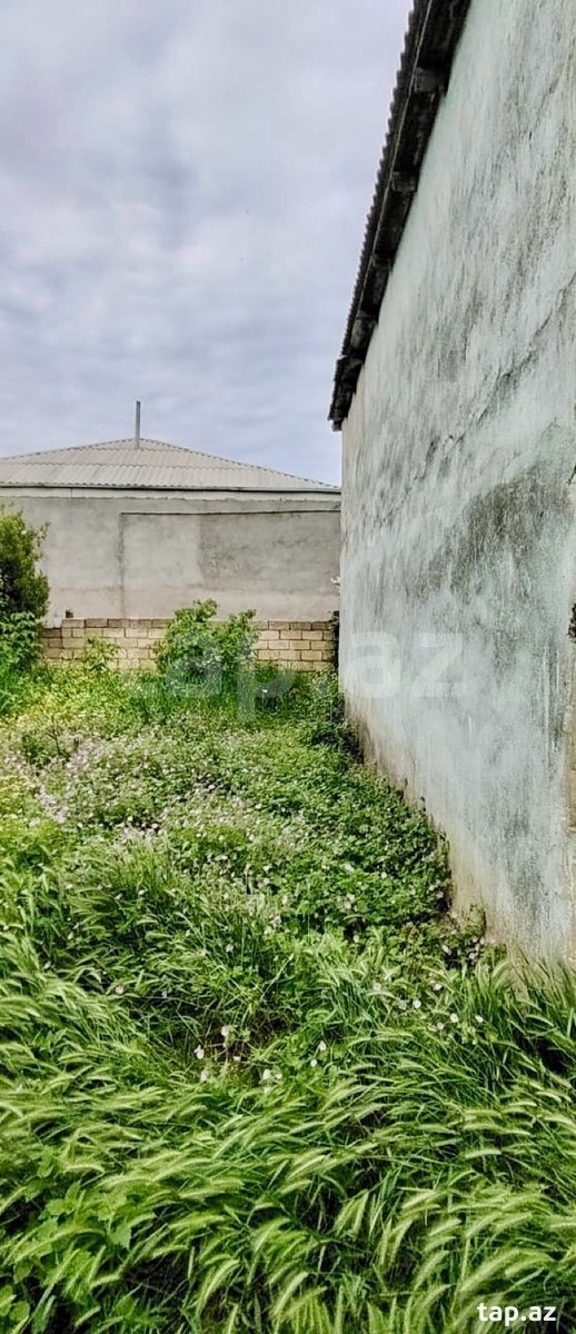 Həyət evi, Şabran r.