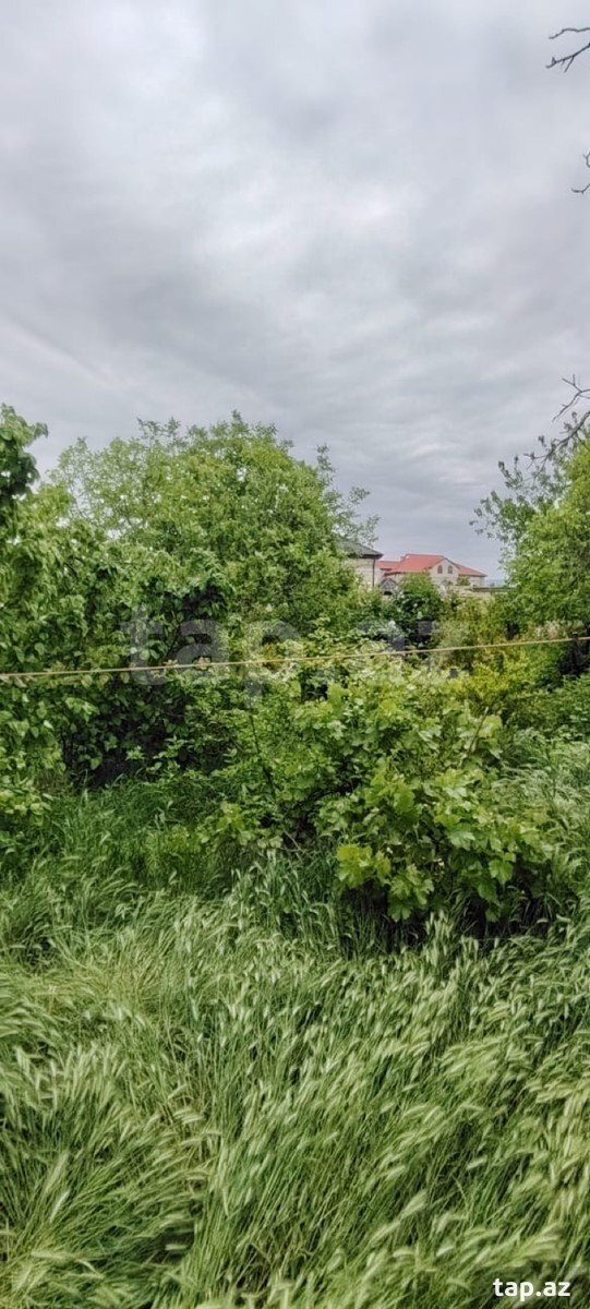 Həyət evi, Şabran r.