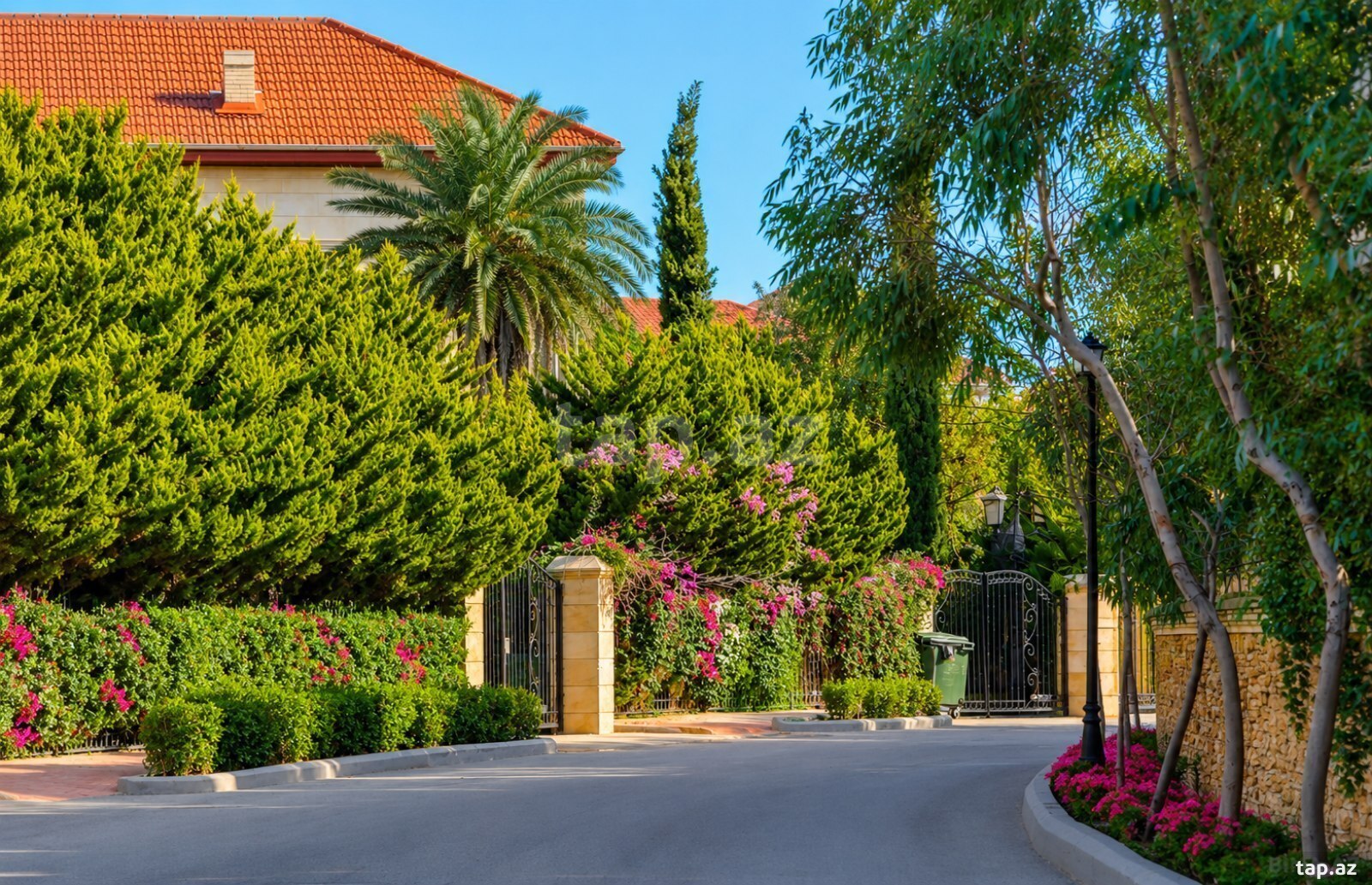 Bağ evi, Nardaran qəs.
