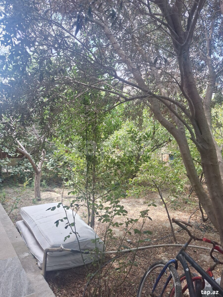 Həyət evi, Masazır qəs.