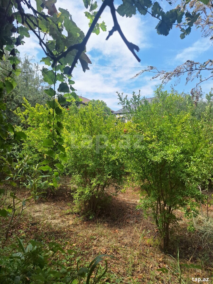 Həyət evi, Masazır qəs.