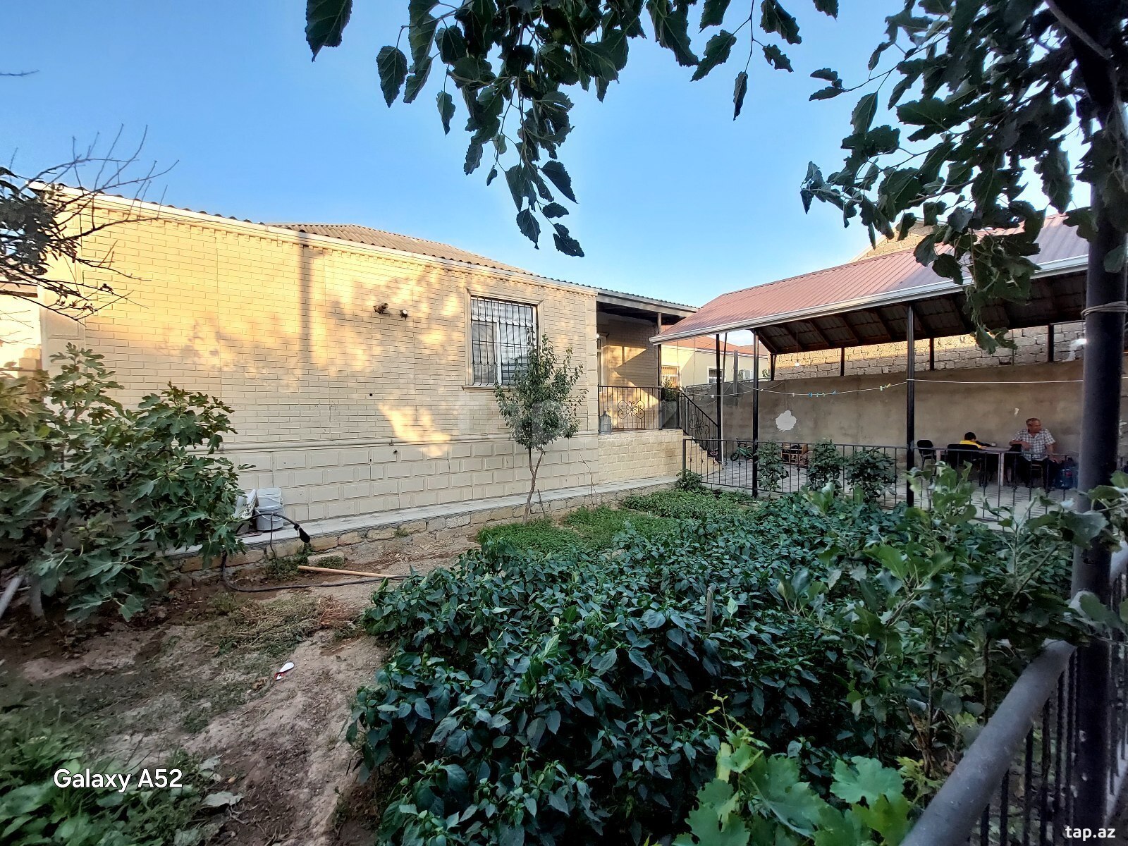 5 otaqlı həyət evi satılır, Binə, Bakı