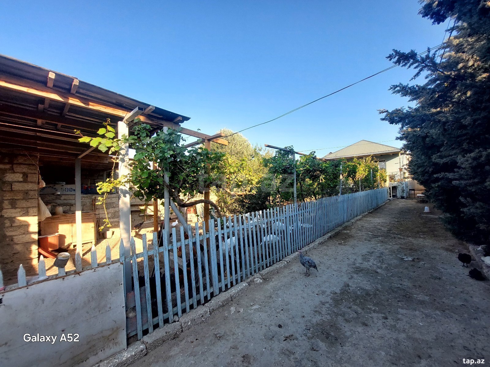 3 otaqlı həyət evi satılır, Binə, Bakı