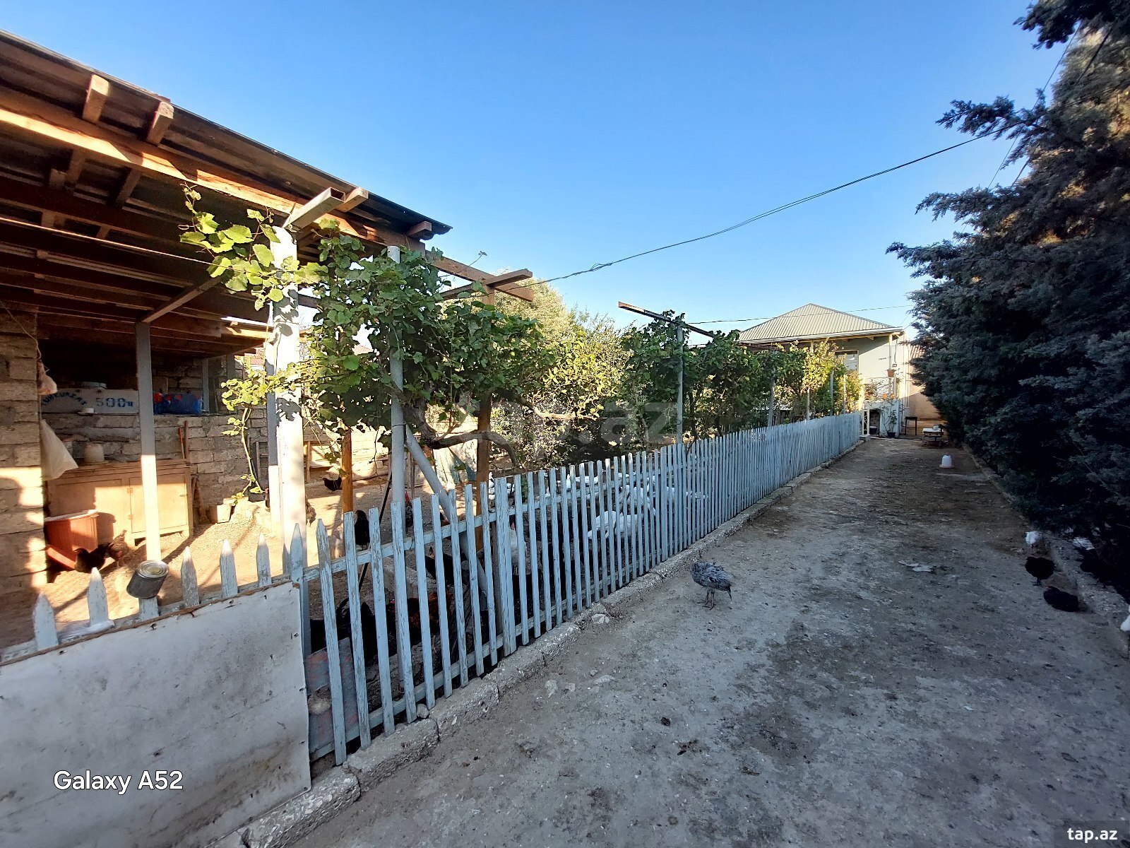 3 otaqlı həyət evi satılır, Binə, Bakı