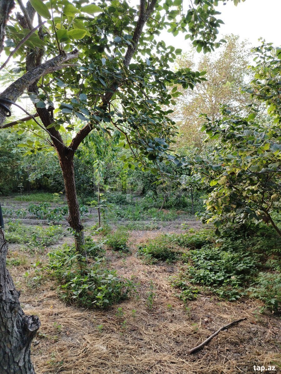 Həyət evi, Xaçmaz r.