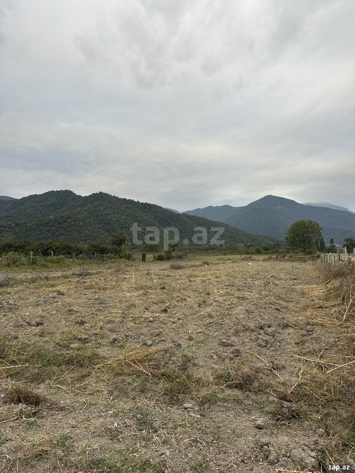 Land for sale, Ismayilli, Ismayilli