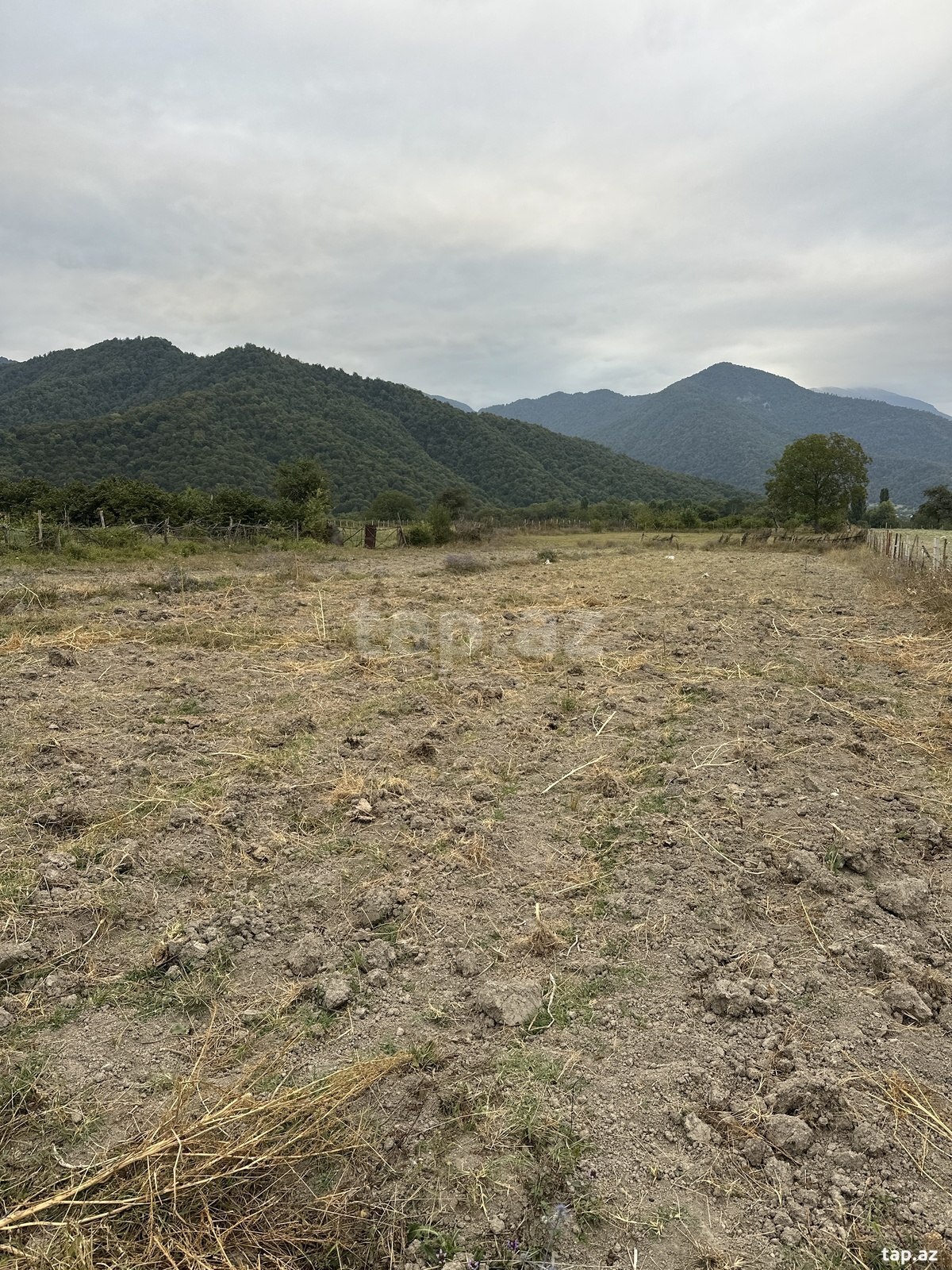 Land for sale, Ismayilli, Ismayilli