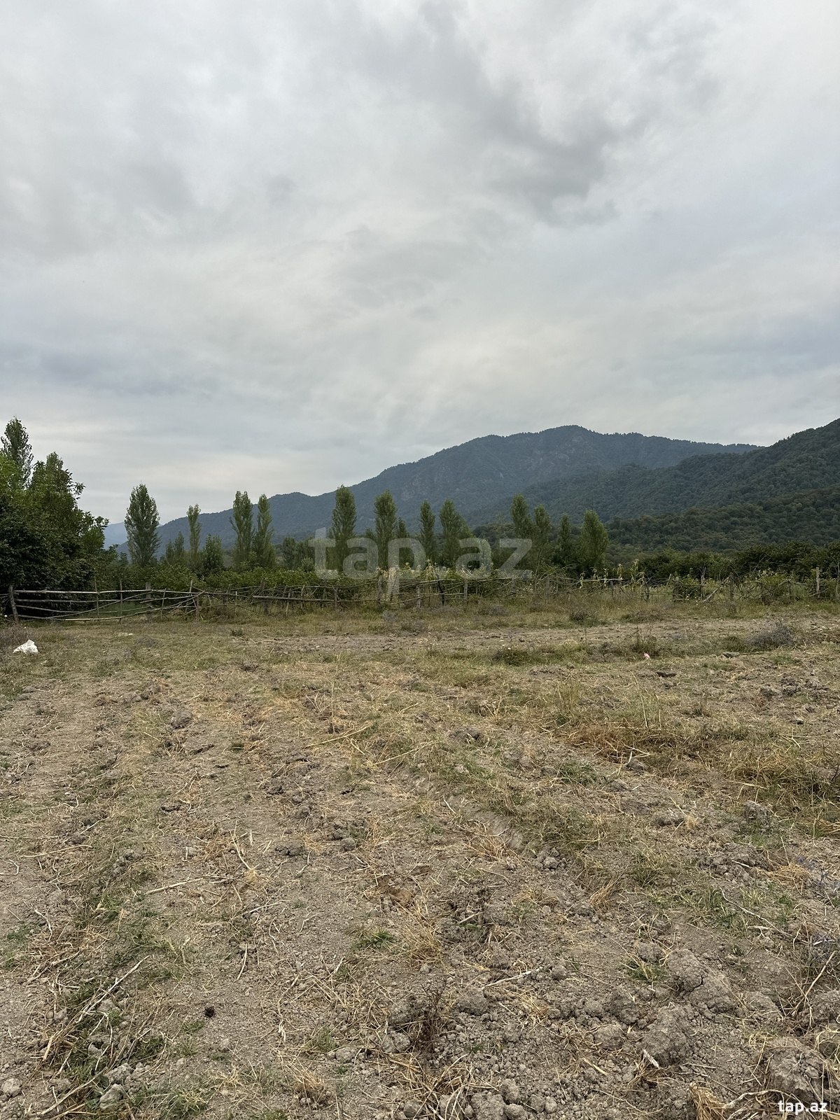 Land for sale, Ismayilli, Ismayilli