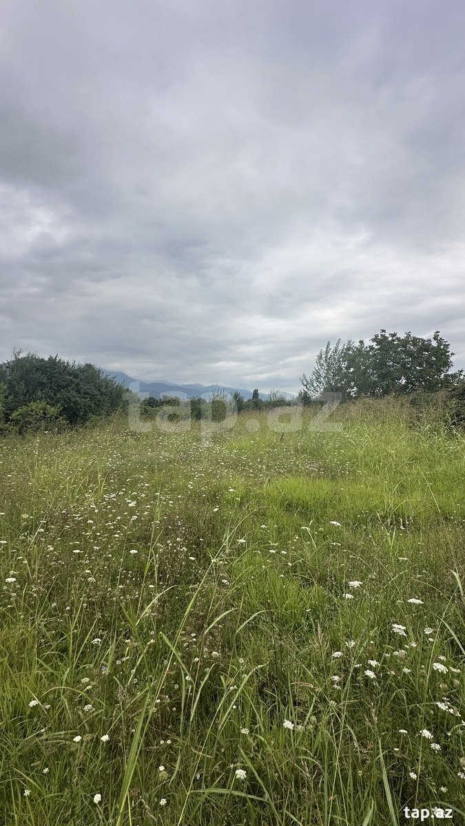 Land for sale, Ismayilli, Ismayilli