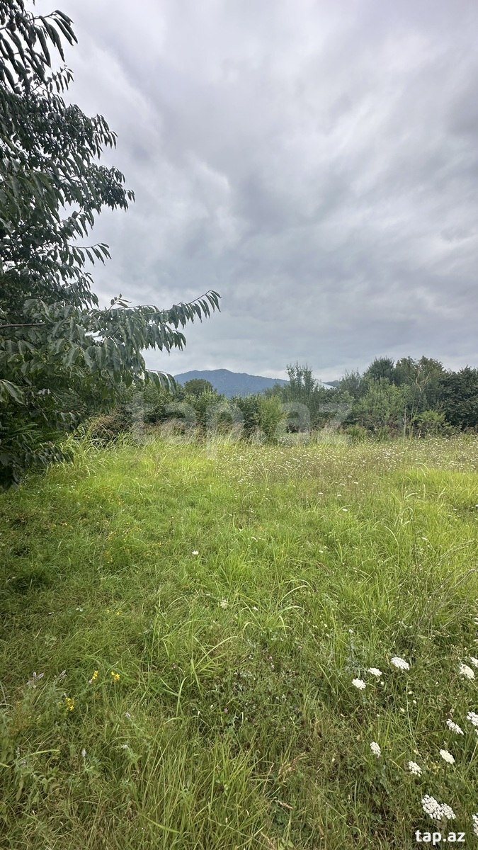 Land for sale, Ismayilli, Ismayilli