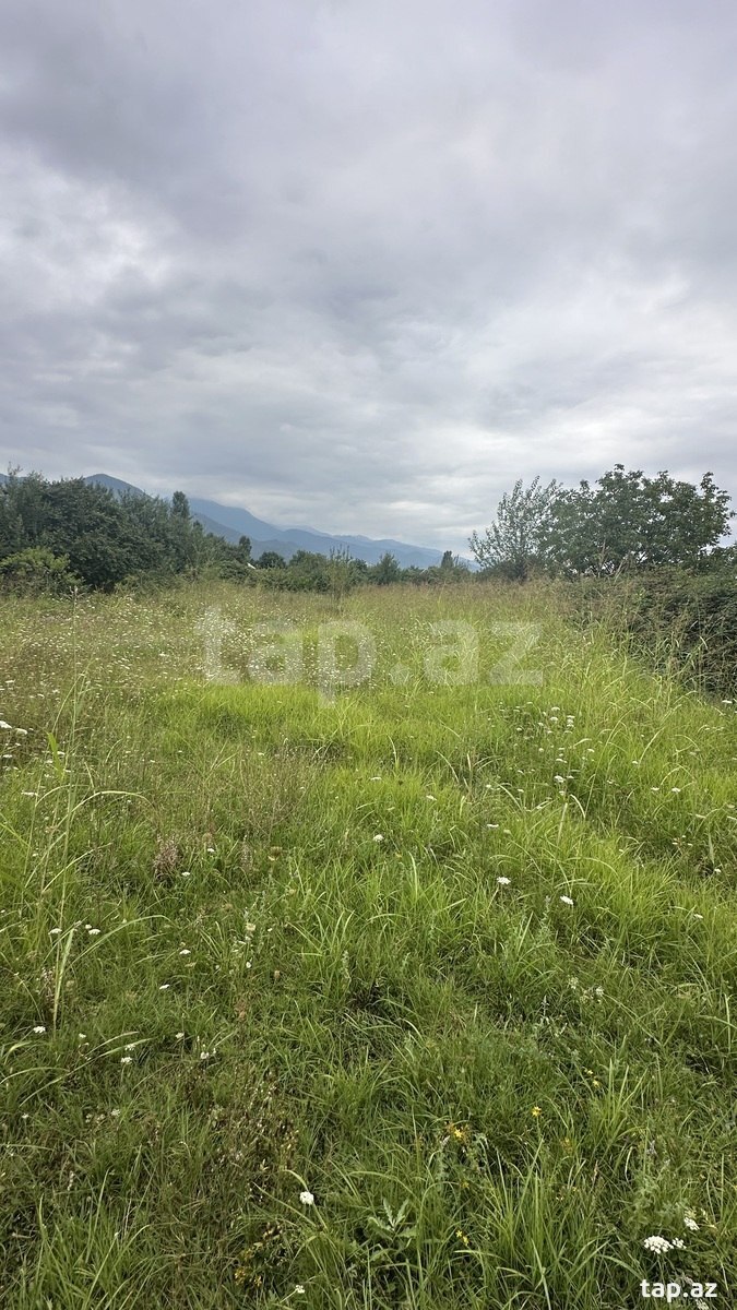 Land for sale, Ismayilli, Ismayilli