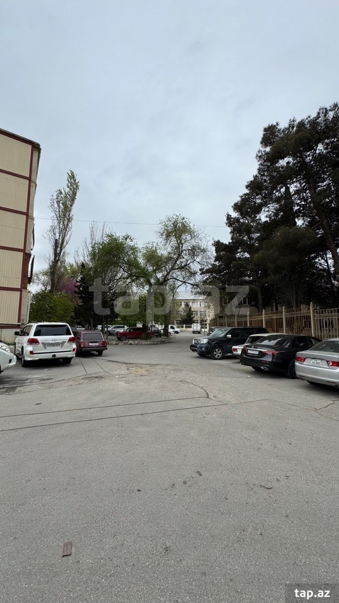 Qaraj, Alı Mustafayev küç.