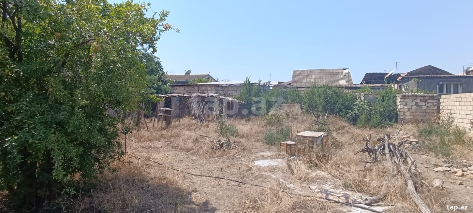 Torpaq satılır, Gəncə