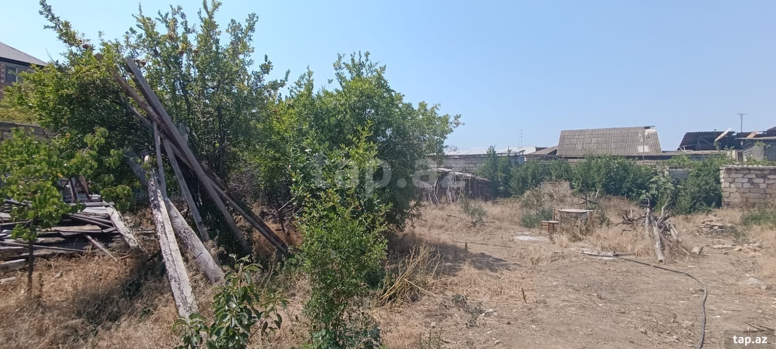 Torpaq satılır, Gəncə