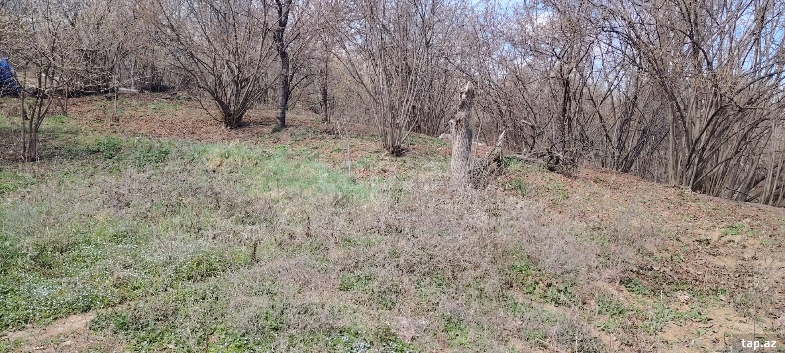 10 sot torpaq sahəsi, Qazax r.