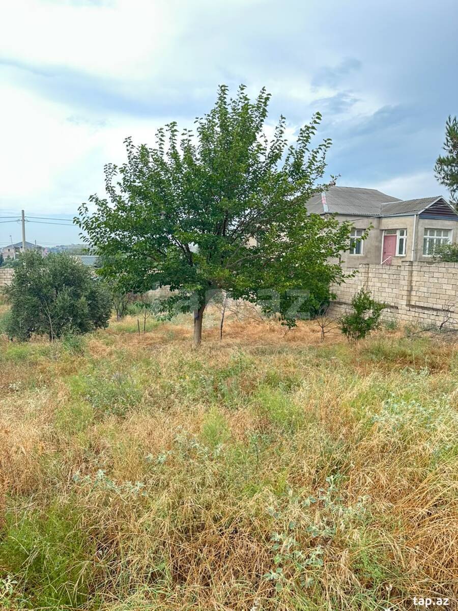10 sot torpaq sahəsi, Saray qəs.