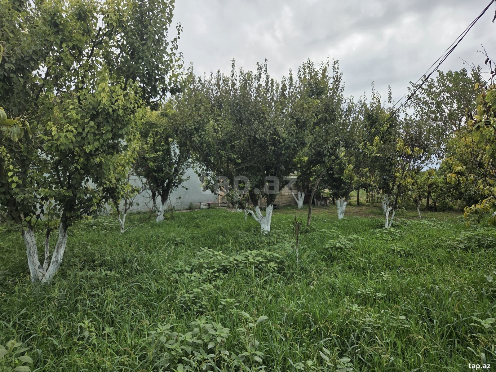 Bağ evi, Xaçmaz r.
