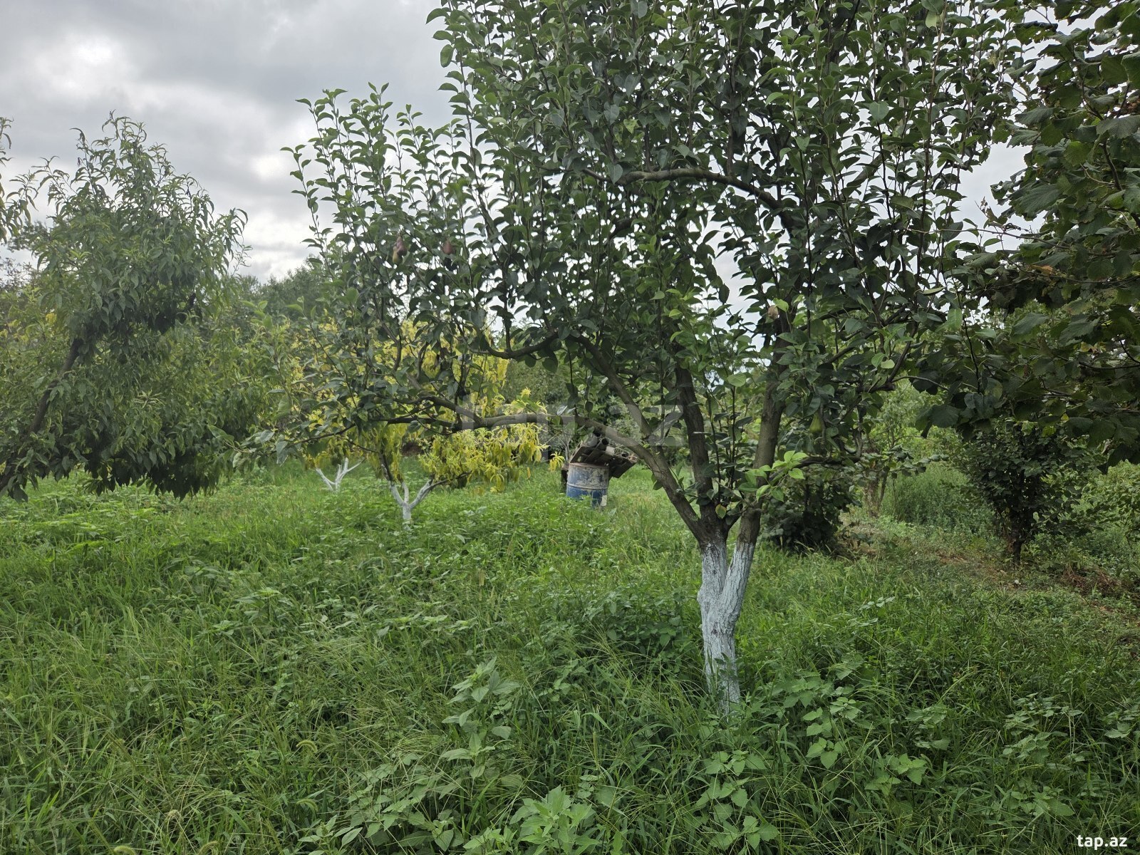 Bağ evi, Xaçmaz r.