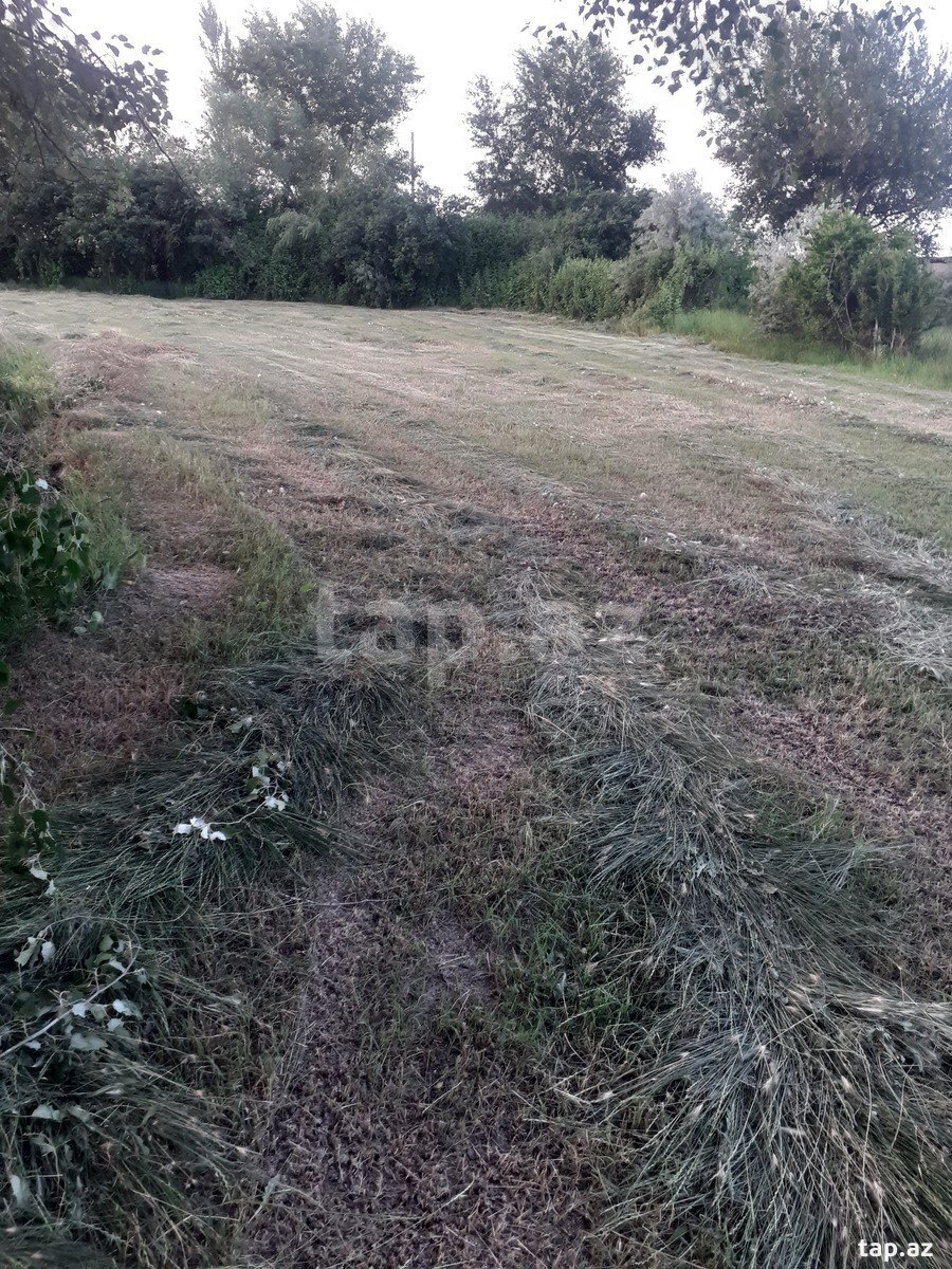 10 sot torpaq sahəsi, Saatlı r.