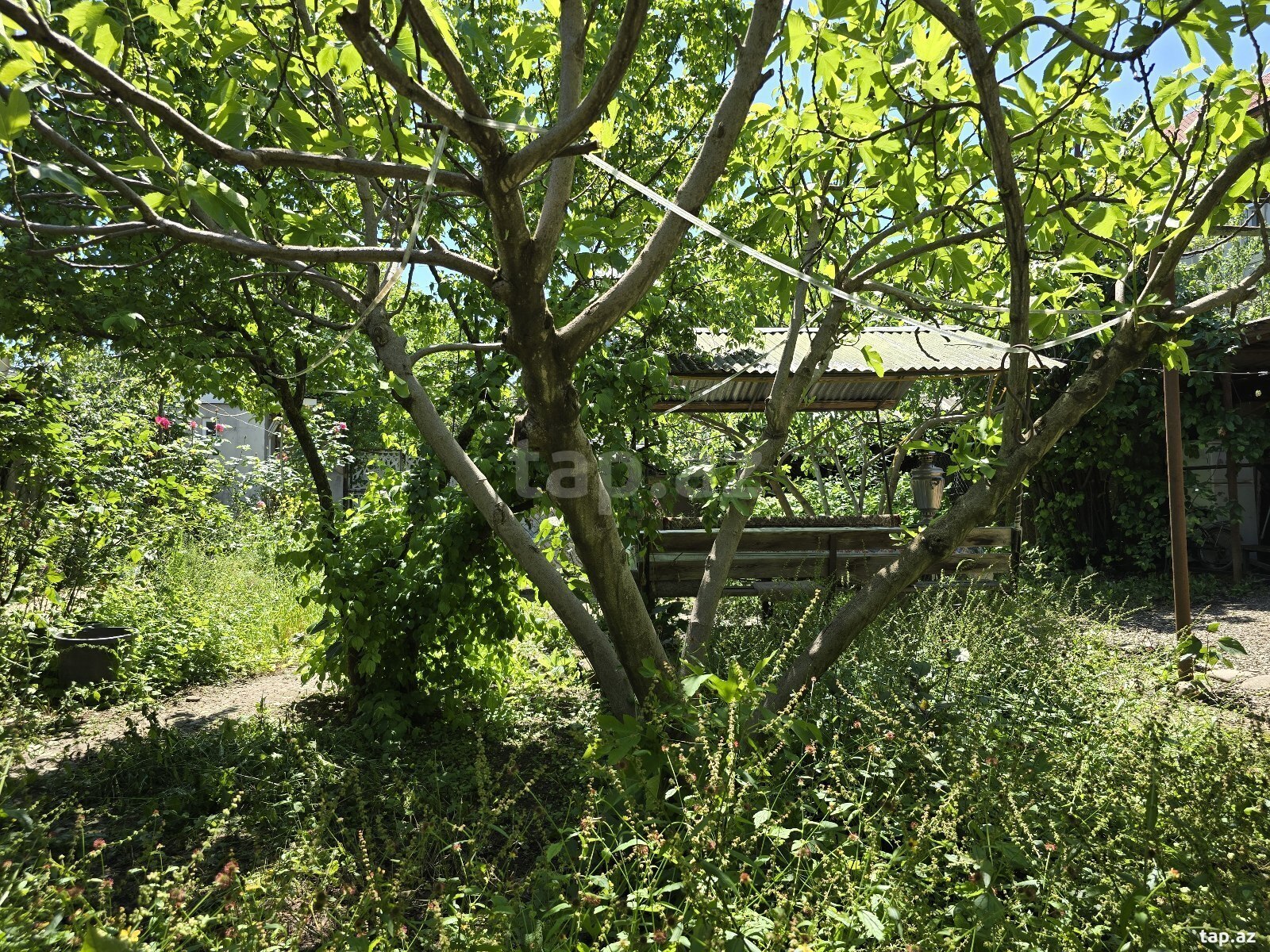 Həyət evi, Quba r.