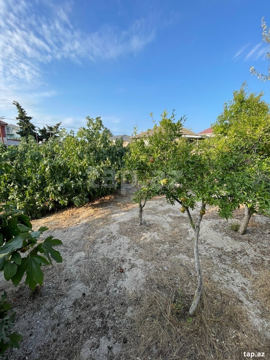 Bağ evi, Hövsan qəs.