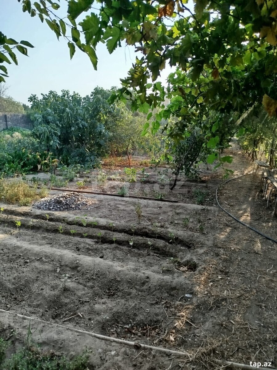 Həyət evi, Pirşağı qəs.