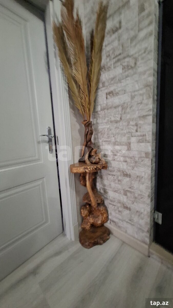 Aksesuar